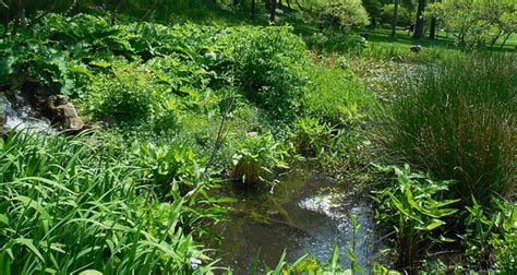 Mill Creek Park Eco Pond Fountain Kc Parks And Rec