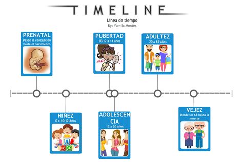 Etapas Del Desarrollo Humano Timeline Timetoast Timelines Images