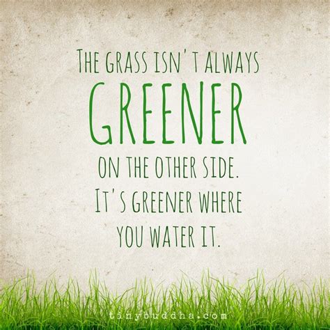 The Grass Isnt Always Greener On The Other Side Its Greener Where