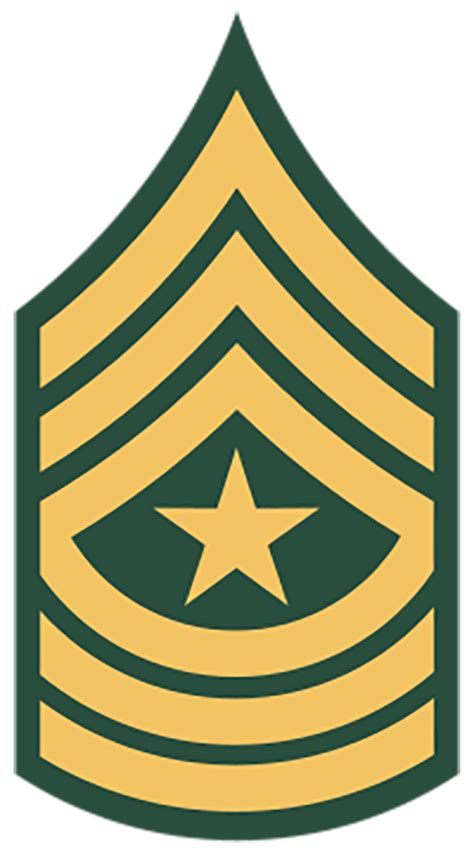 Army Sergeant Major Gold Collar Rank Insignia Ubicaciondepersonas