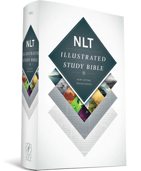 Books You Can Feel Good About Nlt Illustrated Study Bible From Tyndale