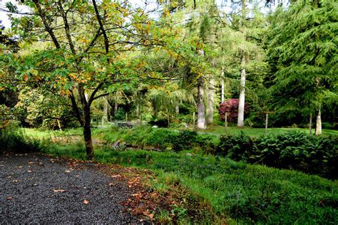 Gortin Glens Forest Park © Kenneth Allen Cc By Sa20 Geograph Ireland