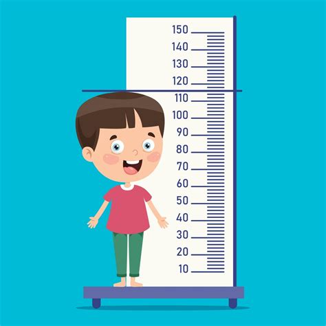 Medida De Altura Para Crianças Pequenas 2710417 Vetor No Vecteezy