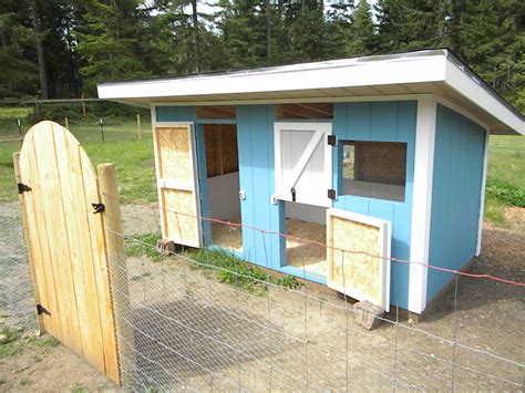 They'll need space—at least 2 square feet of. DUCK HOUSE | Duck house, Duck coop, Backyard ducks