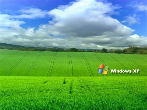 Free Download Did You Know The Windows Xp Wallpaper Was So Expensive