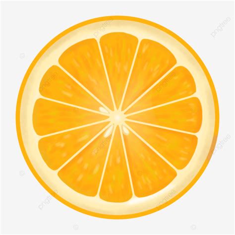 Orange Slice Slice Of Orange Fruit Slice Fruit Oranges Png