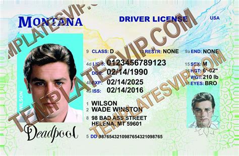 Drivers License Templates Page 3 Templates Drivers Licenses Premium