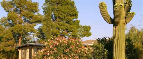 Forecast of the Tucson Real Estate Market