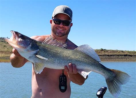 Tongue River Reservoir Fishing Report 2020 Unique Fish Photo