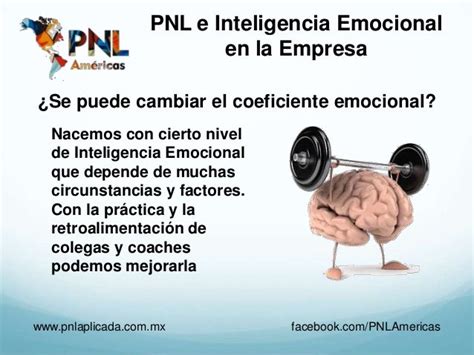 Pnl E Inteligencia Emocional En La Empresa