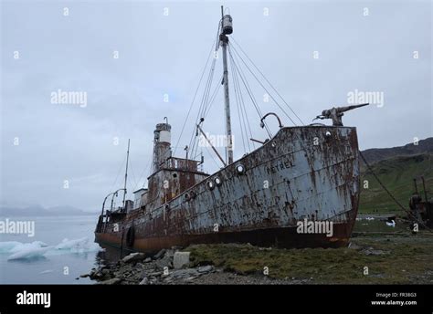 The Whaling Boat Petrel Beached In The Ruins Of The Grytviken Whaling