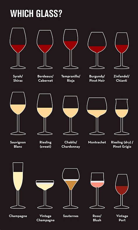 Types Of Wine Glasses Potter Wines