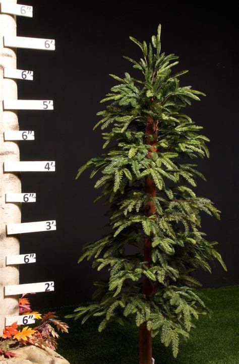 Artificial Sequoia Tree Treescapes And Plantworks