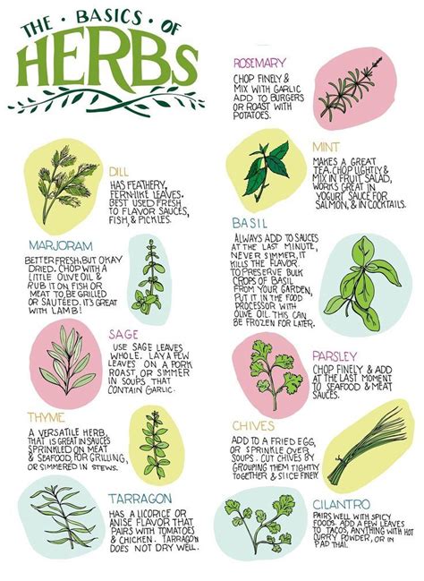Herbs Uses Chart