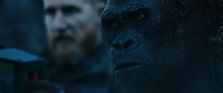 War for the Planet of the Apes Movie Still - #432046