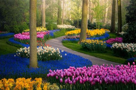 The Most Beautiful Flower Garden In The World Without People Petapixel