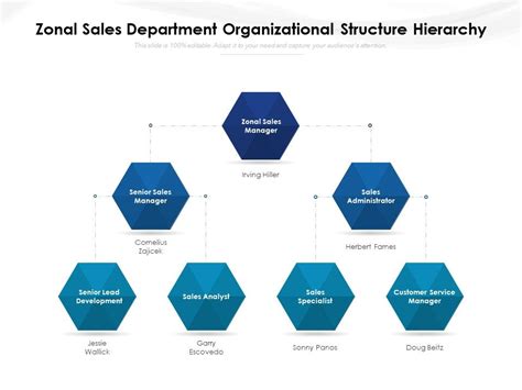 Zonal Sales Department Organizational Structure Hierarchy Powerpoint