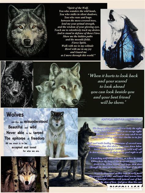 Wolf Quotes Wolf Images Wolf Pictures Native American Wolf Native