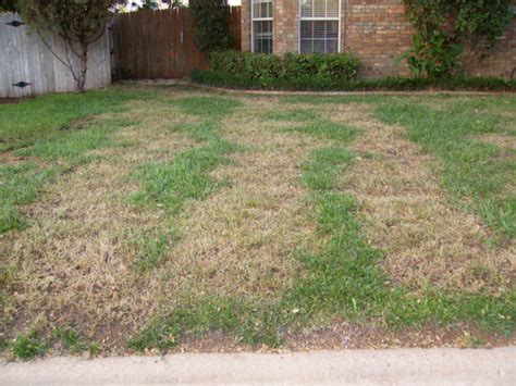 Professional Weed Company Killed My Lawn Lawnsite™ Is The Largest And