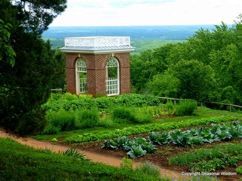 T Jeffersons Amazing Vegetable Garden