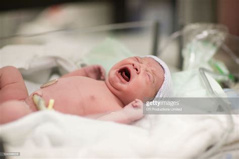 Newborn Baby Girl Crying In Hospital Bassinet High Res