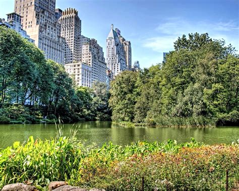 New York Summer Central Park Wallpapers Wallpaper Cave