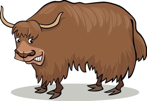 Yak Clip Art Images Free Vectors Stock Photos And Psd