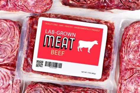Cell-Cultured Meat Looks to Go Mainstream - The Food Institute