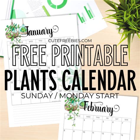 2021 Calendar Printable Plants Theme Cute Freebies For You