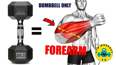 Forearms Workout With Dumbbells Best Dumbbell Forearms Exercises