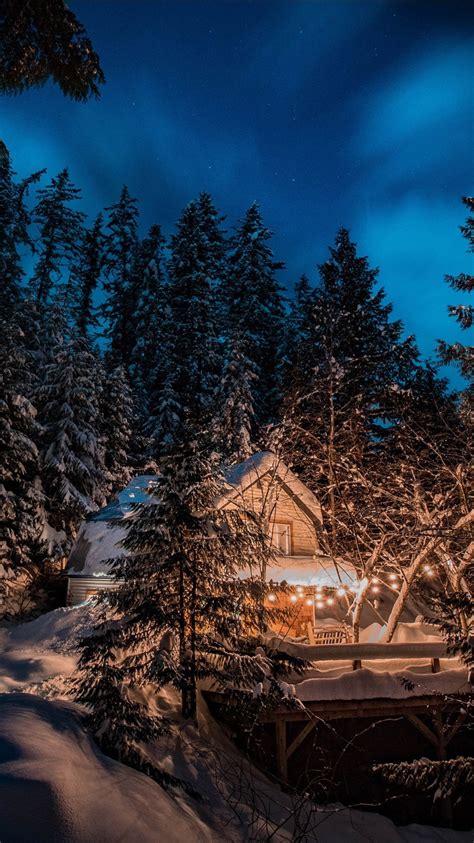 House Surrounded By Snow Covered Christmas Fir Tree In Forest During
