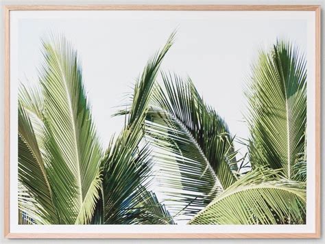 Palm Fronds Framed Photograph | Framed photographs, Large ...