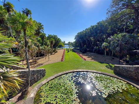 A Walk Through Fairchild Tropical Botanic Garden