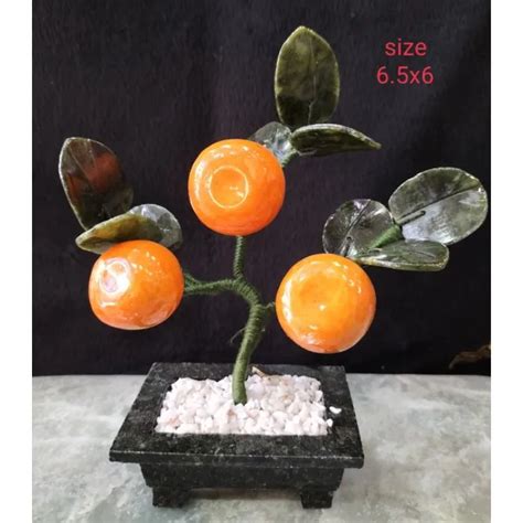 Og1kiat Kiat Orange Tree 3 Fruits Lazada Ph