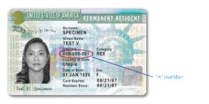 Perhaps the most mysterious information on the front of a green card is the category. FAQs — Pathway to Stay