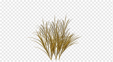 Grass Alpha Texture