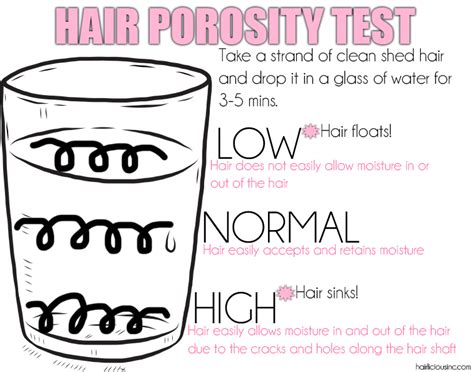 List Of Hair Porosity Quiz For Straight Hair References Eco Inc