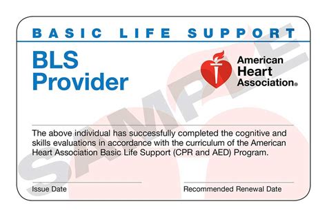 Aha Basic Life Support Bls Provider Renwal Cpr Classroom Safety