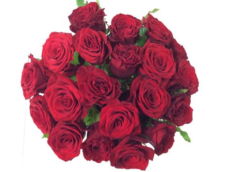 special request flower bouquet flower wholesalers auckland