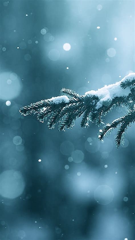 Winter Season Snow Trees Lens Flare Iphone Wallpapers Free Download