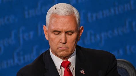fly lands on pence s head during answer on law enforcement the