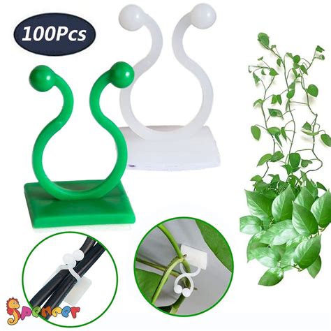 Spencer 100pcs Plant Climbing Invisible Wall Fixture Clips Wall Vines