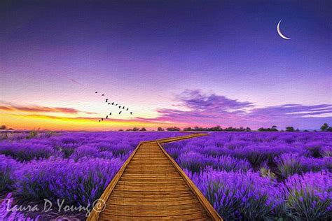 Purple Lavender Field Of Lavender Purple Sunset Wooden Etsy Nature