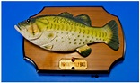 Big Mouth Billy Bass Singing Fish Wall Plaque.