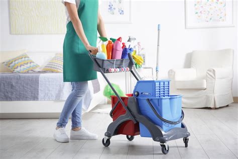 Checklist For Your Maid To Clean Your Place House Cleaning Maids