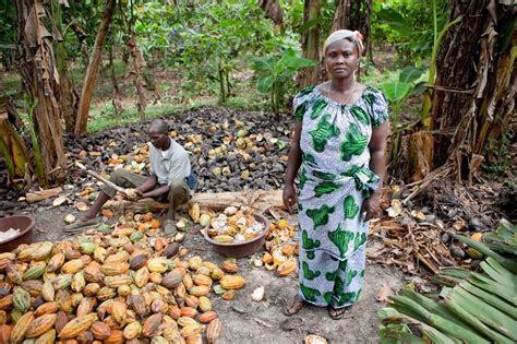 Can We Litigate Our Way To Ethical Business Models In The Cocoa