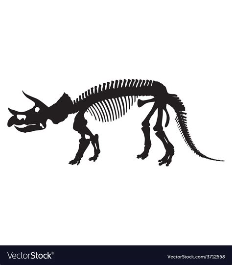 Dinosaur Skeleton Silhouette Royalty Free Vector Image