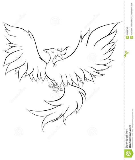 Simple Phoenix Tattoo Designs Sketch Coloring Page