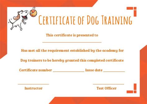 Create Awesome Training Certificate Templates Ready To Use Samples And