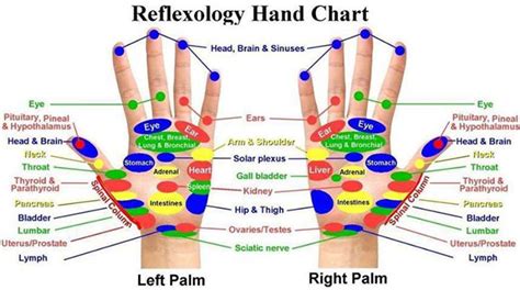 Embracing Life From Foot To Palm Hand Reflexology 从脚至手掌，手部病理按摩